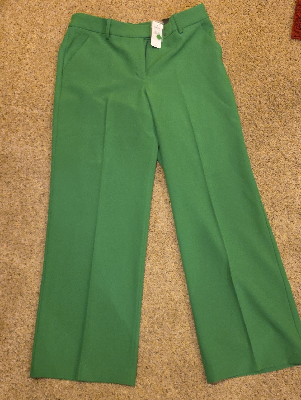 Express Wide-Leg Green Dress Pants